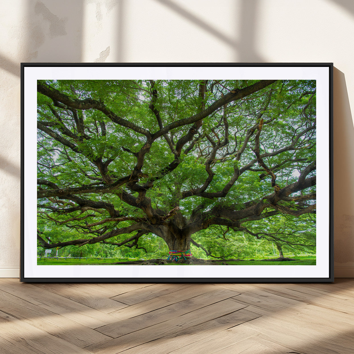 MGC-FP-36x24 - Oak Tree Wall Art Print, Forest Canvas Wall Art for Home and Office, Framed Angel Oak Tree Canvas