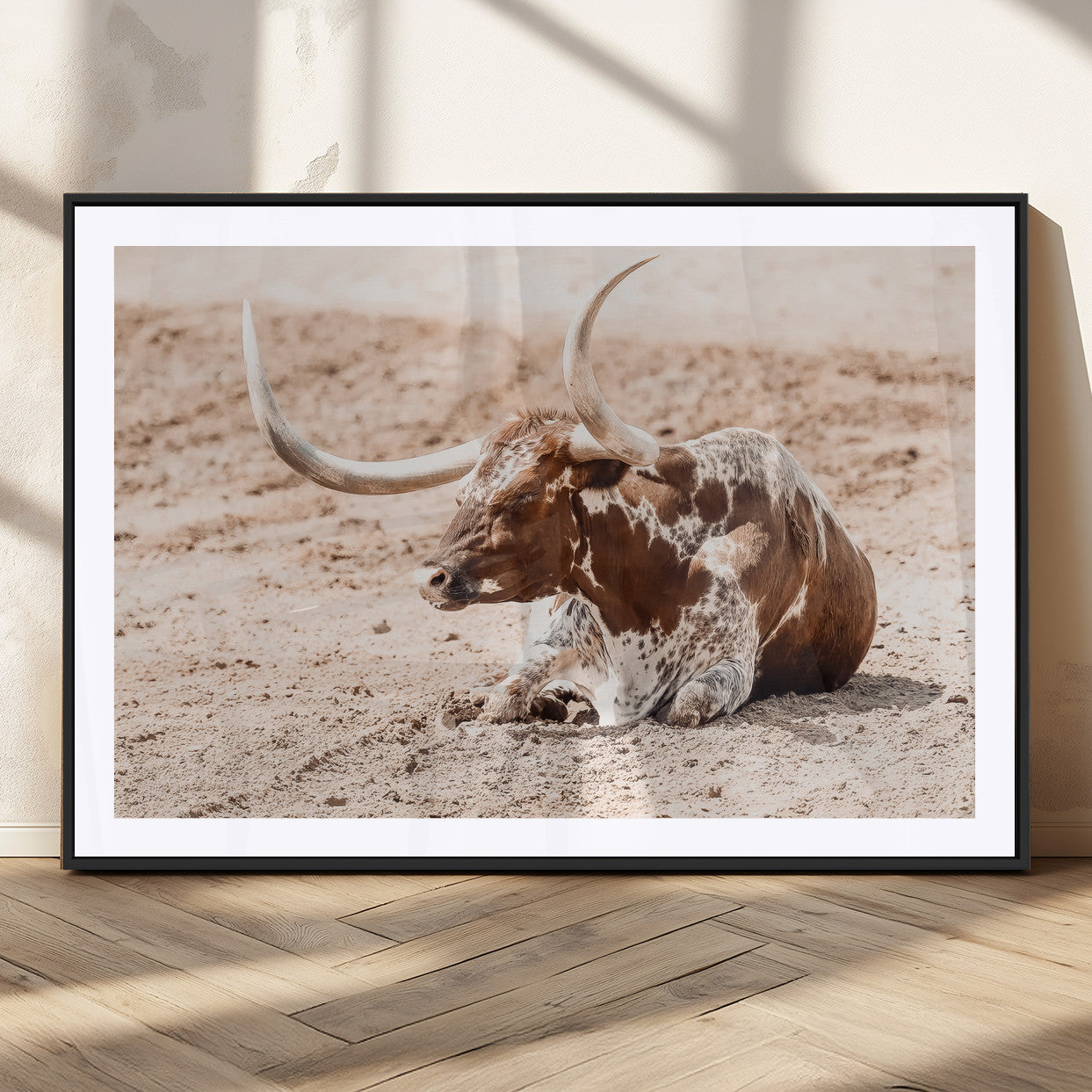Texas Longhorn bull resting on dusty ground with warm tones, ideal for rustic western or farmhouse-themed wall decor.