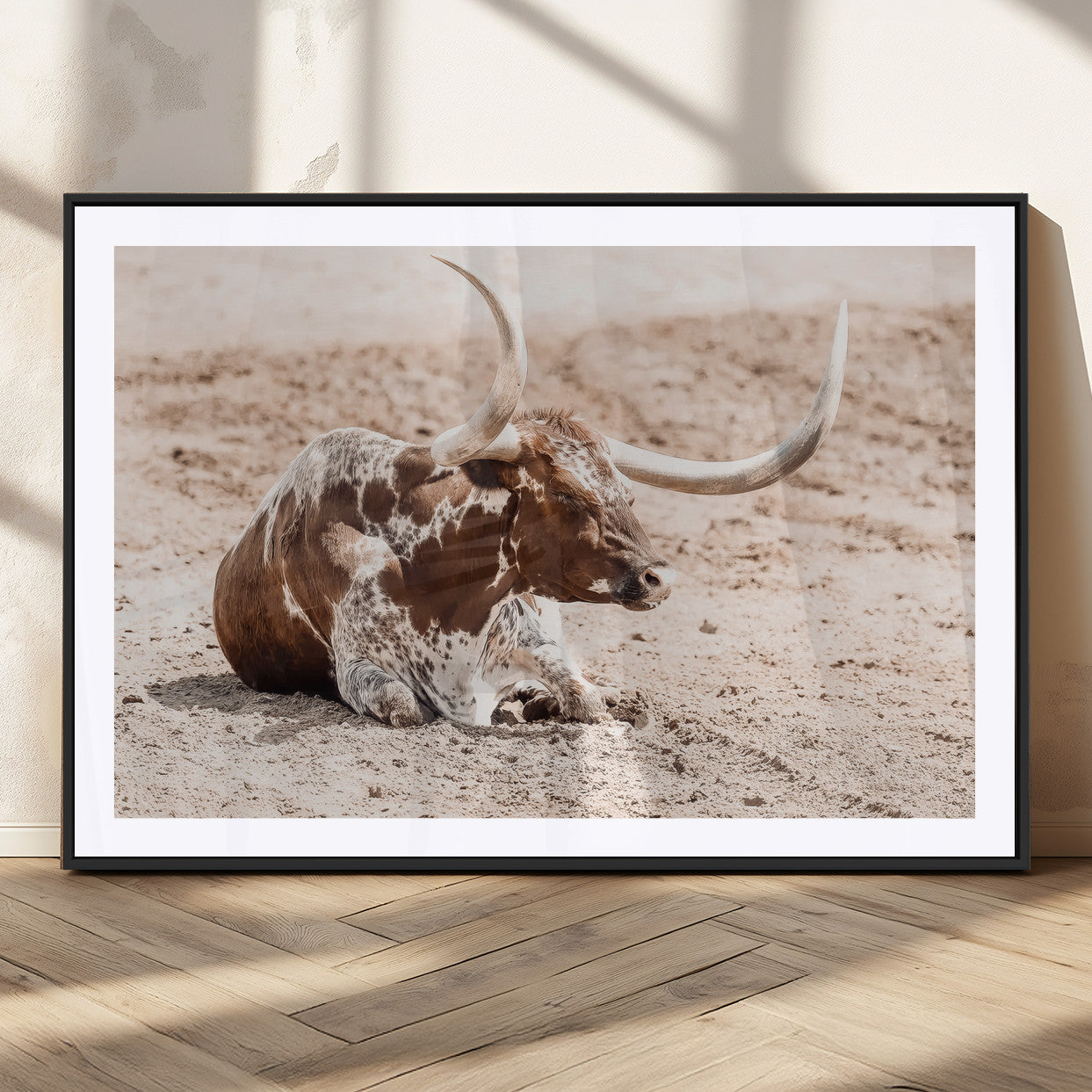 Texas Longhorn bull resting on dusty ground with warm tones, ideal for rustic western or farmhouse-themed wall decor.