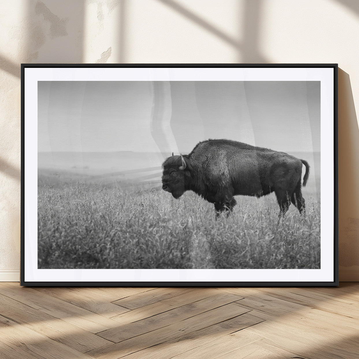 A black and white photograph of a majestic bison standing in a vast grassy prairie, evoking a sense of wilderness and strength.