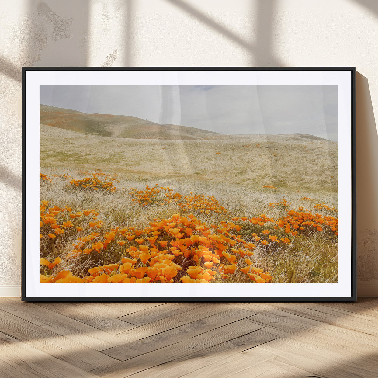 A golden field with vibrant orange poppies blooming across rolling hills under a soft, sunlit sky, creating a warm and rustic landscape.