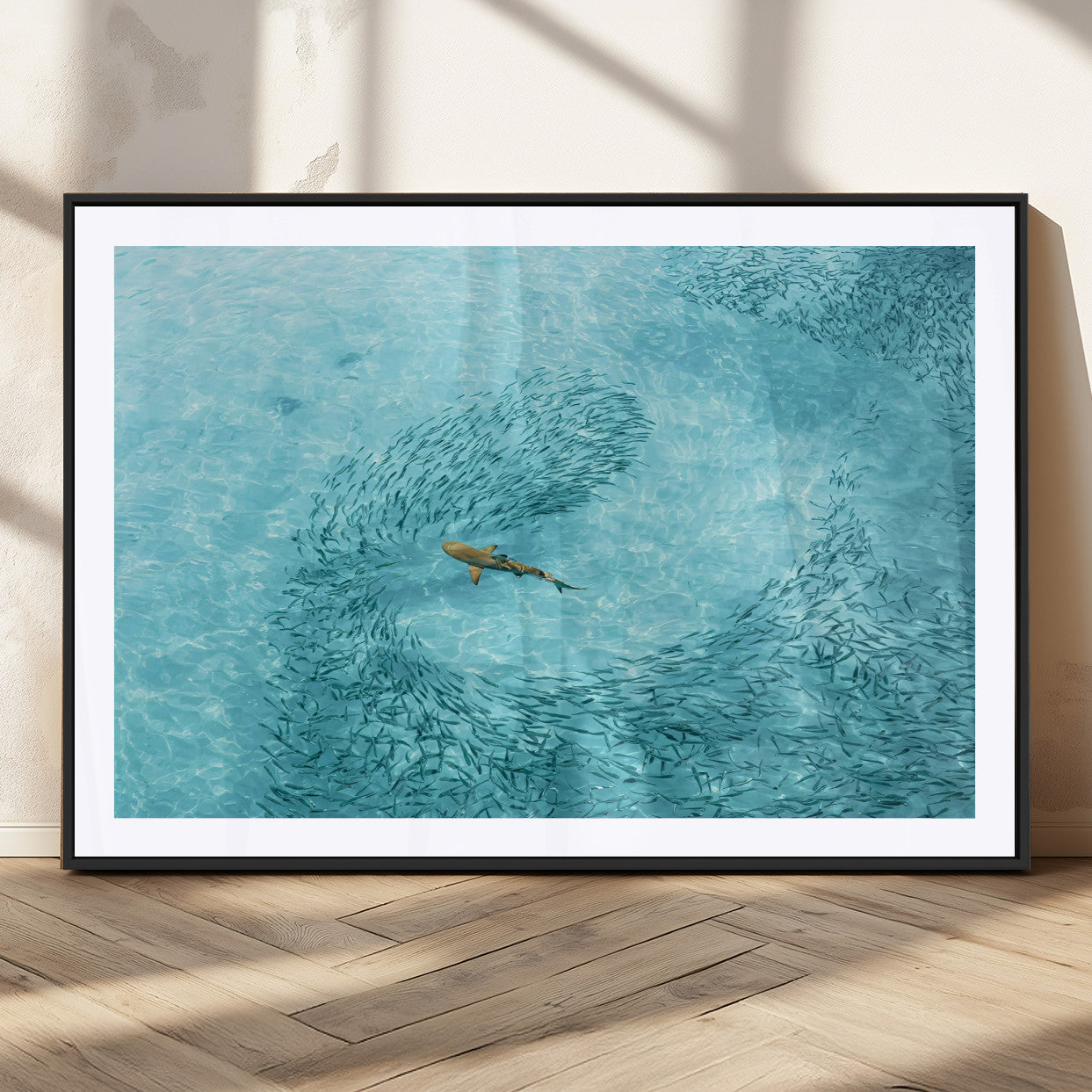 Aerial view of a shark swimming through a swirl of fish in clear turquoise waters, perfect for calm coastal or beach house decor.