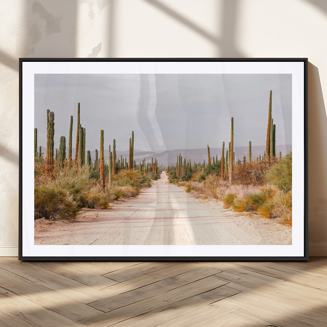 A desert road lined with saguaro cacti under a golden sky, creating a warm southwestern feel, perfect for boho or rustic decor.