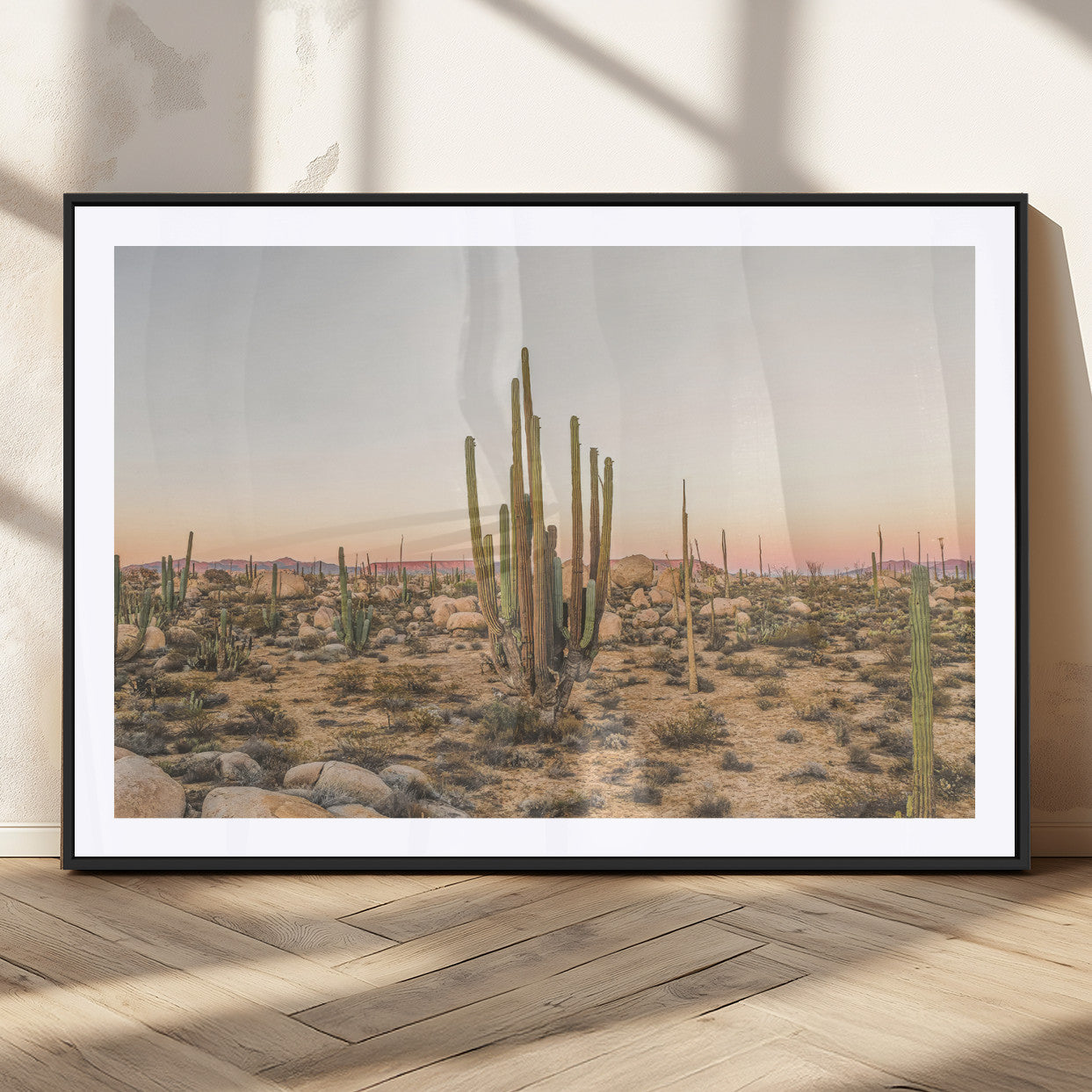 Canvas of tall desert cacti in warm sunset tones over a rocky Baja landscape, ideal for earthy or Southwestern-style home decor.