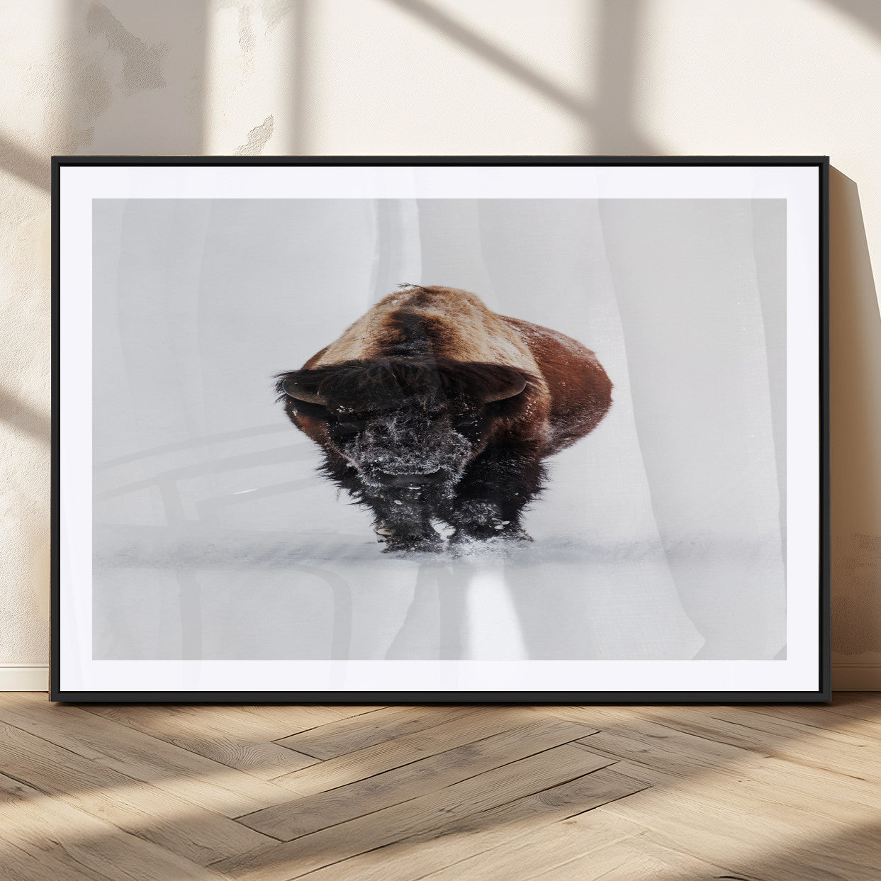 Front view of a strong bison walking in deep snow, isolated white background, perfect for rustic or lodge-style home decor.