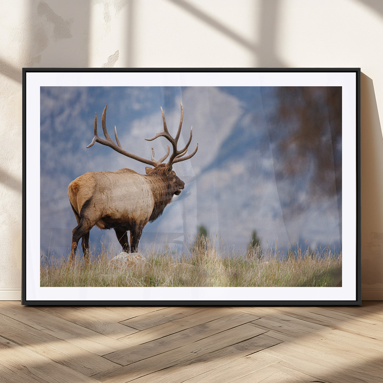 Elk with antlers standing on grass with mountain background, ideal for rustic, cabin, or lodge-inspired wall decor.