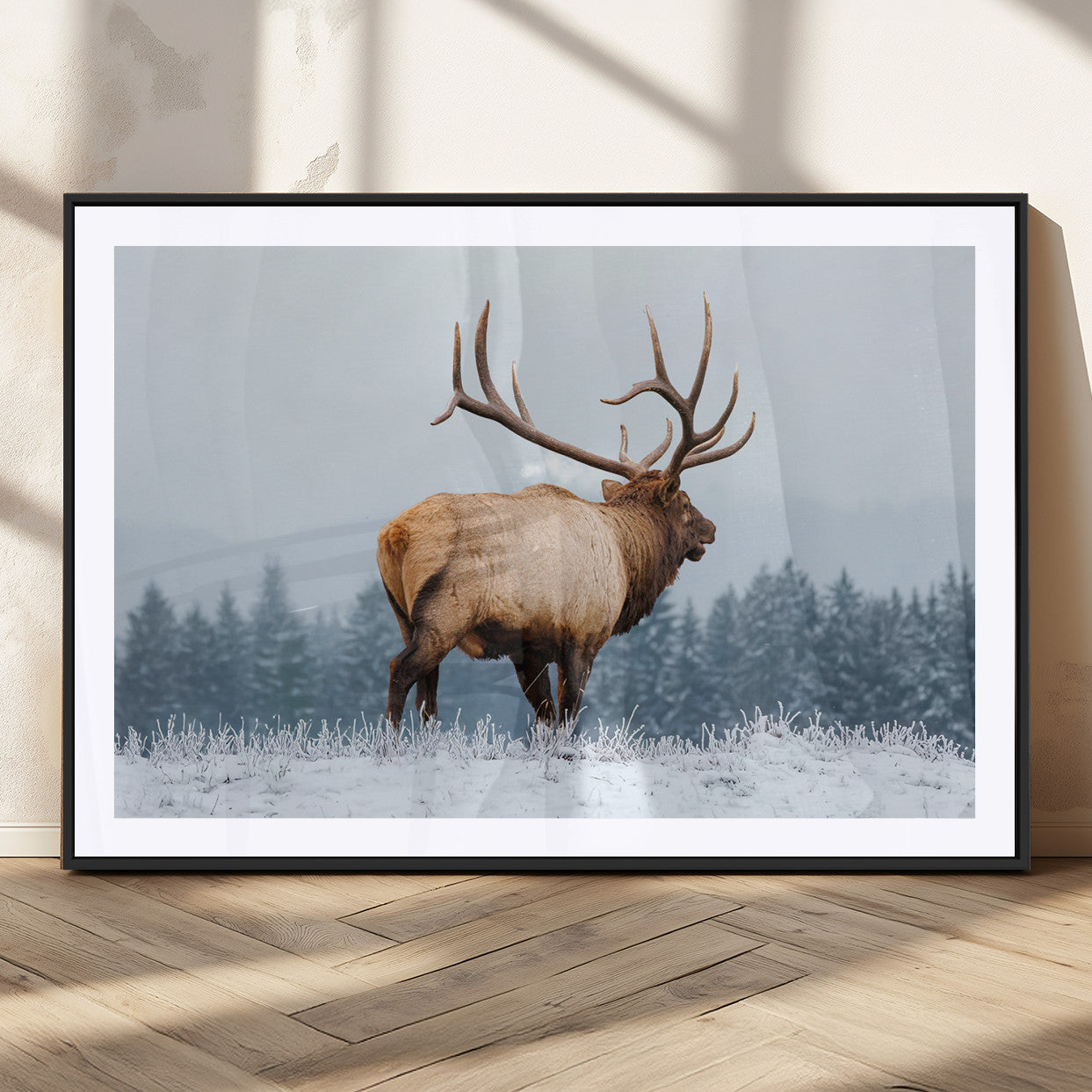 Large elk standing in a snowy field with pine trees in the background, ideal for rustic cabin or lodge-style wall decor.