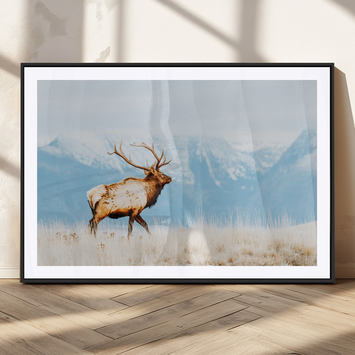 Majestic elk standing on dry grassland with snowy mountains in the background, ideal for rustic or lodge-inspired wall decor.