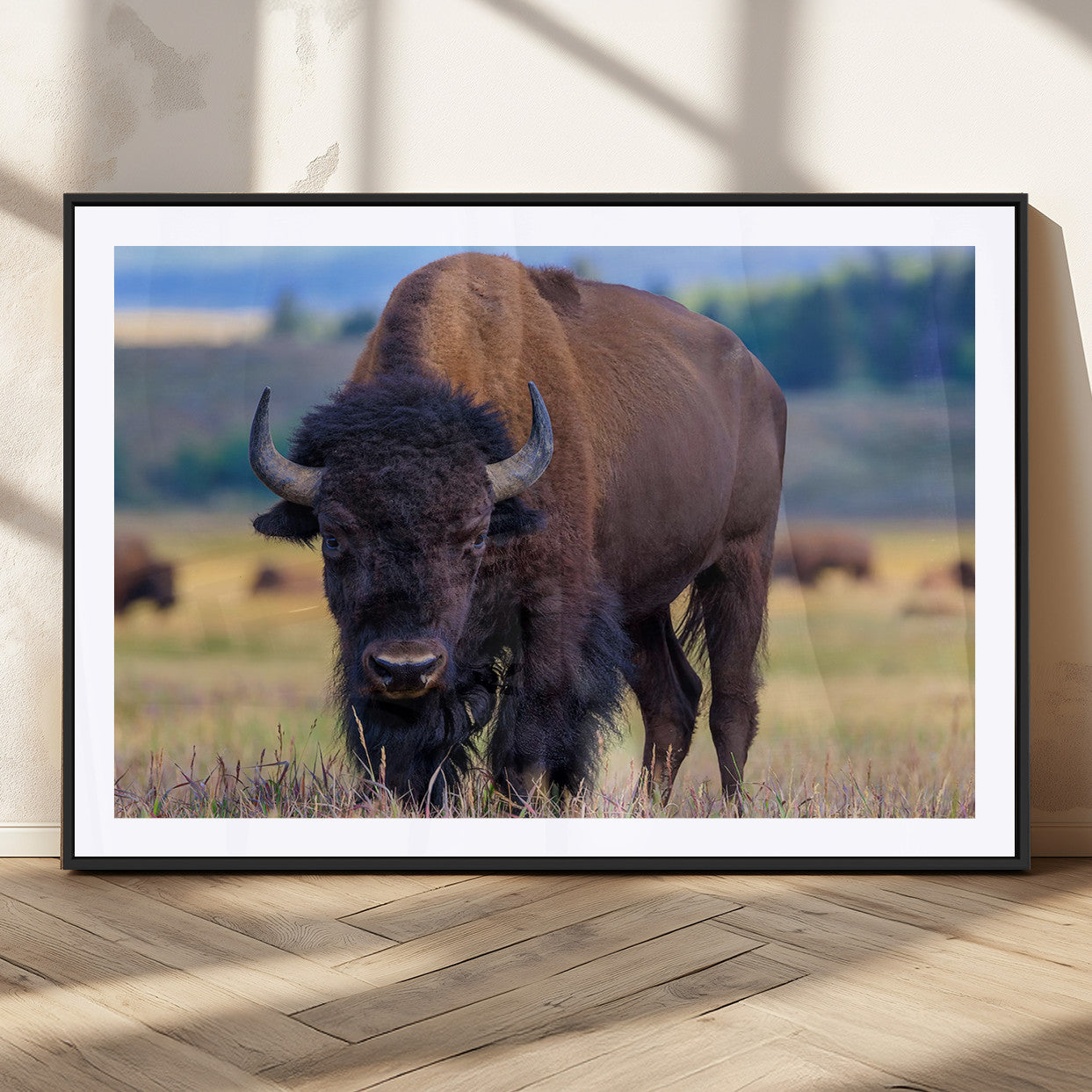 Close-up of a strong American bison standing in a grassy prairie with a blurred herd in background, perfect for rustic lodge decor.