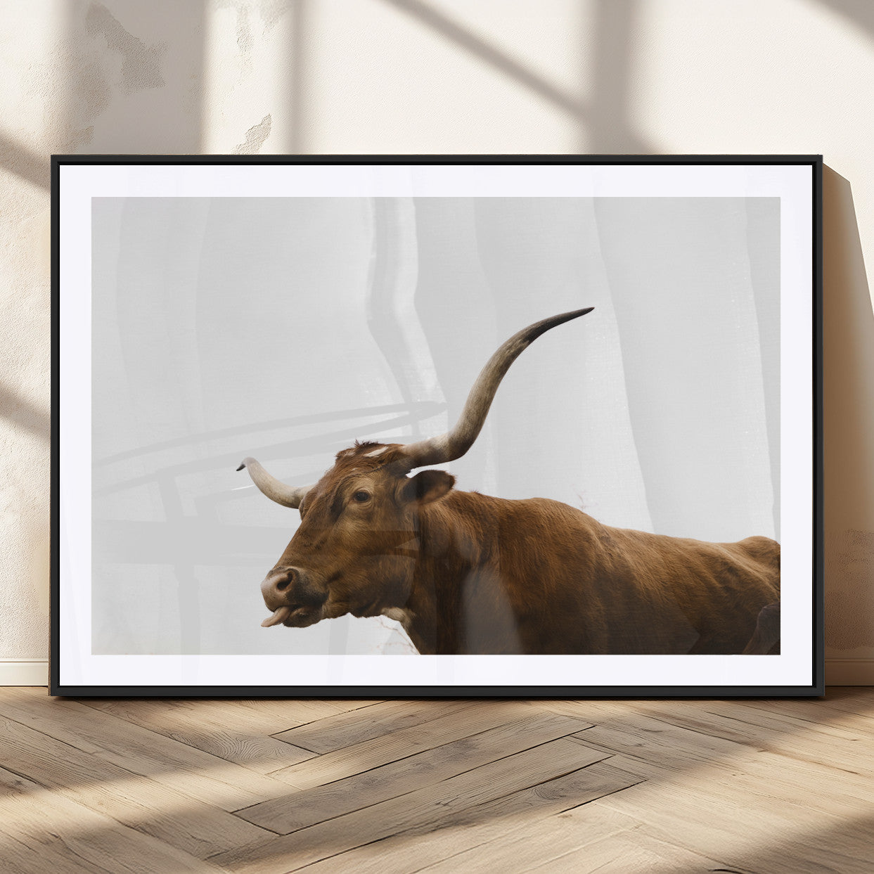Minimal photo of a longhorn cow with white background, ideal for rustic, western or farmhouse-style interior decor.