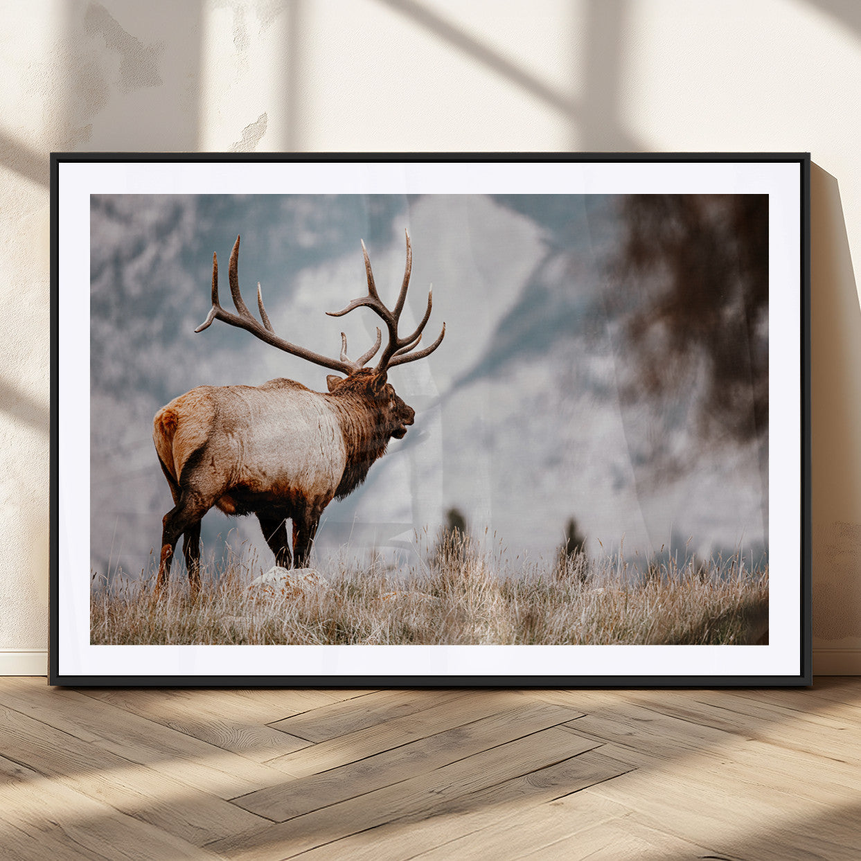 Majestic elk with large antlers standing in grass with snowy mountains in background, perfect for rustic cabin or lodge style decor.
