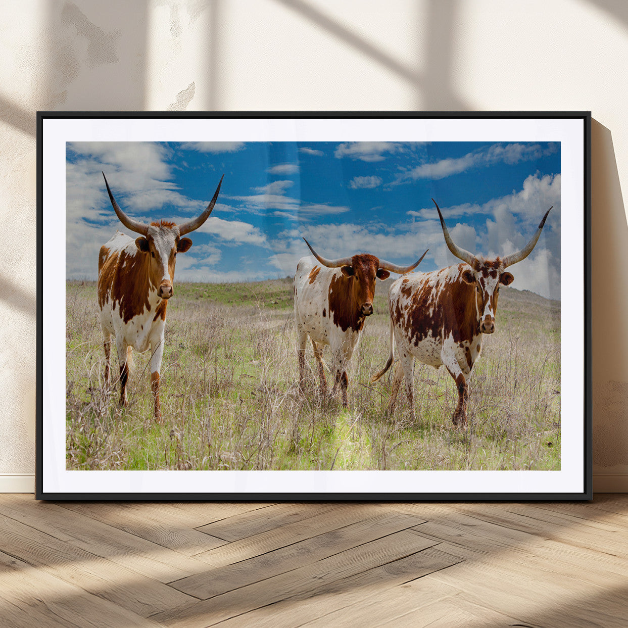 Three Texas longhorn cattle standing in dry grass under a bright blue sky, ideal for farmhouse or western rustic home decor.