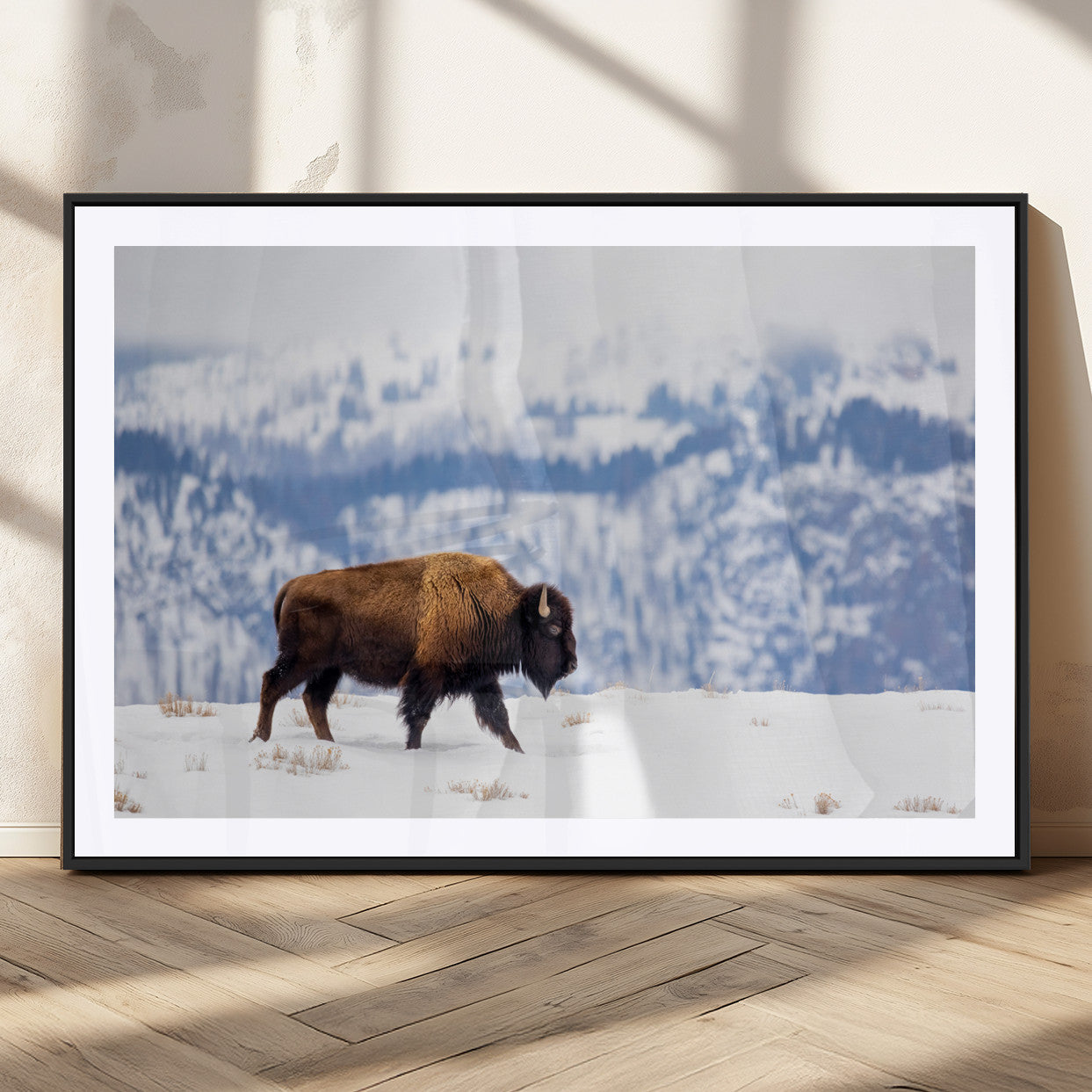 A lone bison walks across snowy ground with blue-toned mountain range behind, ideal for rustic or western farmhouse interiors.