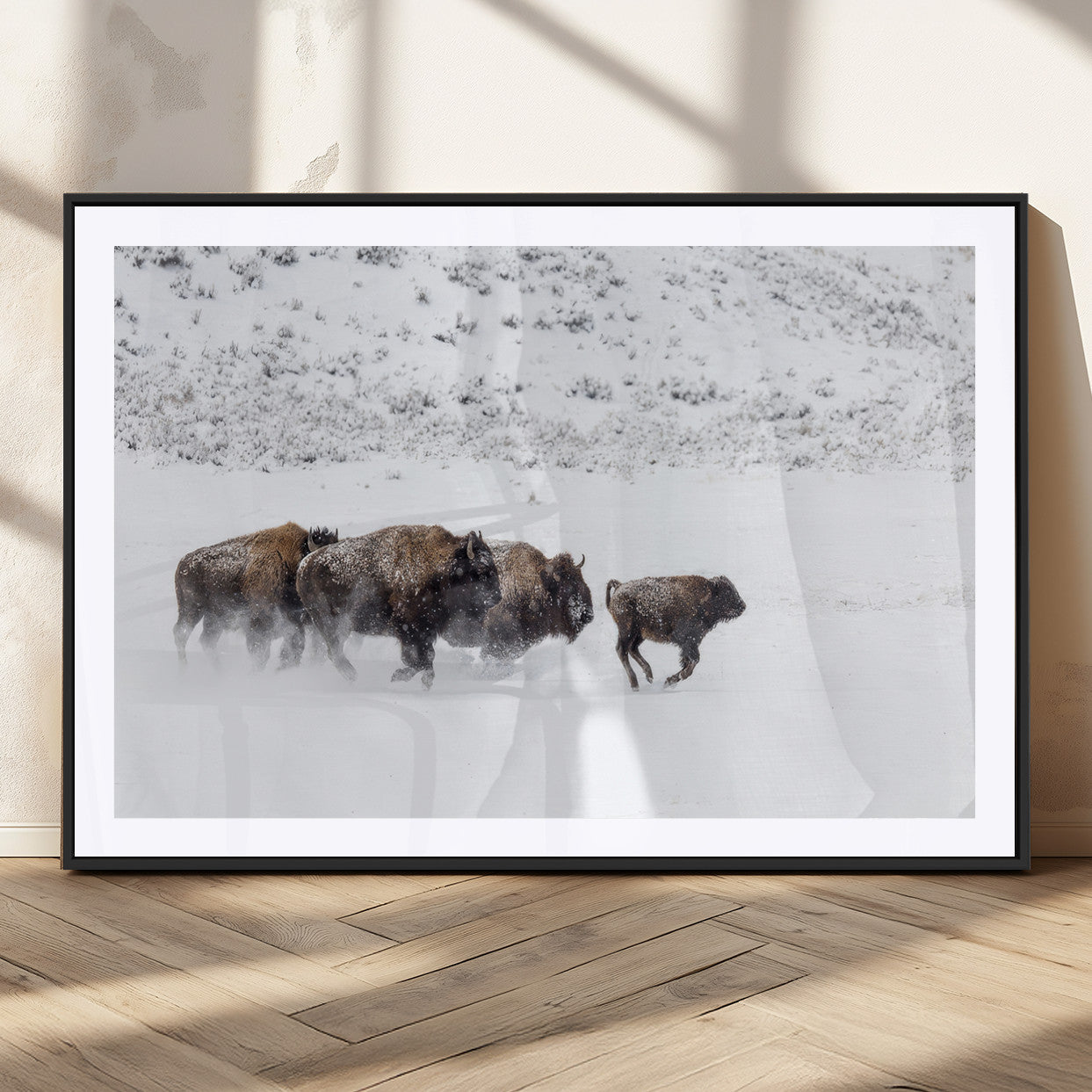 Bison herd running through a snowy open field with mountain backdrop, perfect for rustic or western-themed wall decoration.