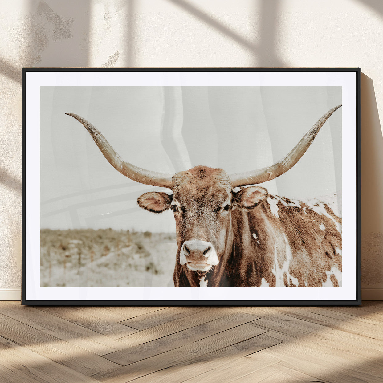 A Texas longhorn bull with wide horns, standing in a dry field under soft light, ideal for rustic farmhouse or western-themed interiors.