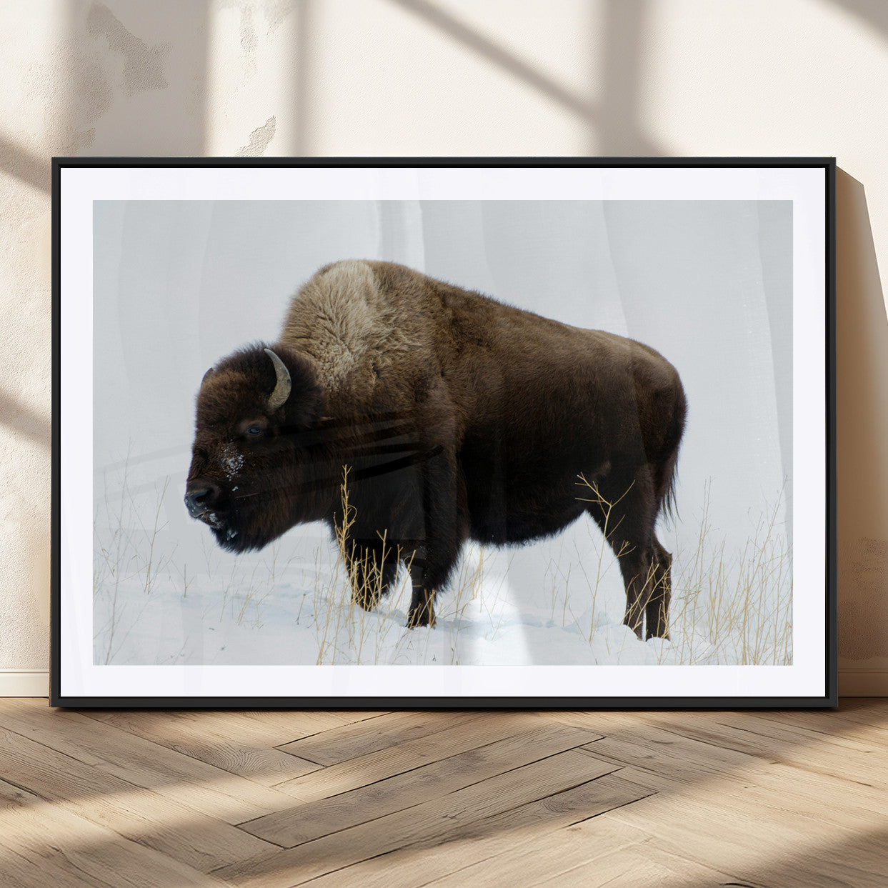 MGC-FP-36x24 - Bison Photography Wall Art Canvas Print, Framed Western Wildlife Art Picture Print, Buffalo On Snow Perfect Western Decor Artwork