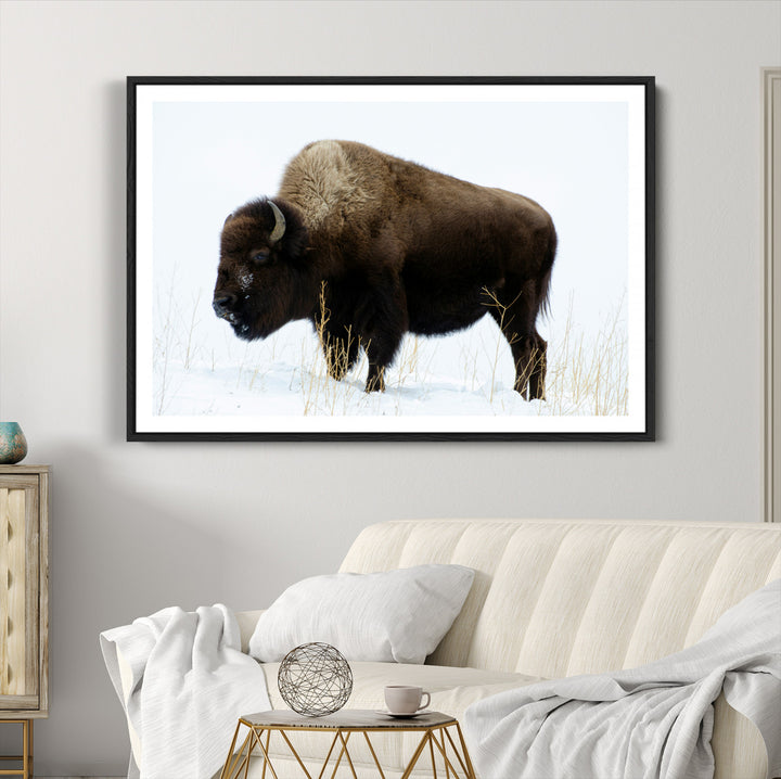 Bison Photography Wall Art Canvas Print, Framed Western Wildlife Art Picture Print, Buffalo On Snow Perfect Western Decor Artwork