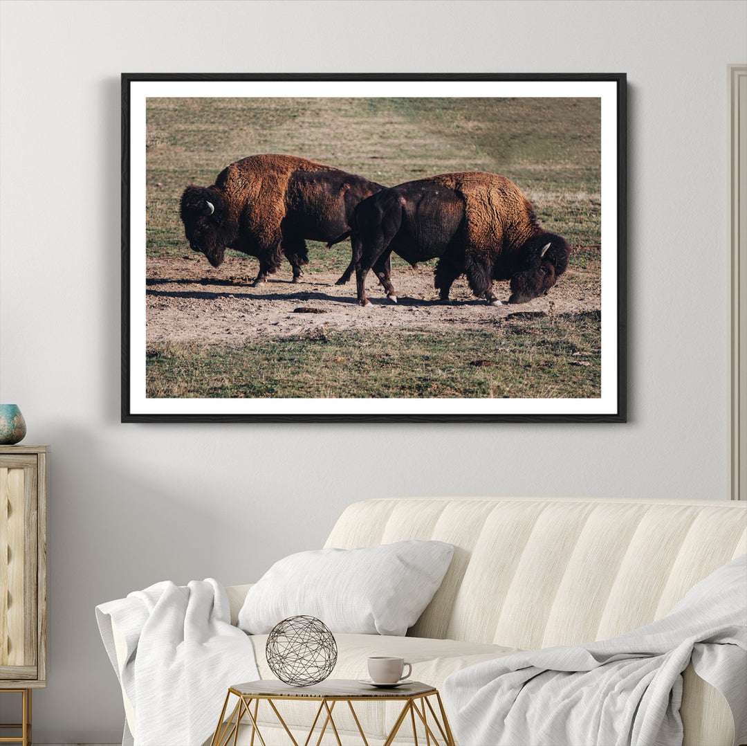 Bison Photography Wall Art Canvas Print, Framed Western Wildlife Art Picture Print, Modern Ranch Perfect Western Rustic Decor Artwork