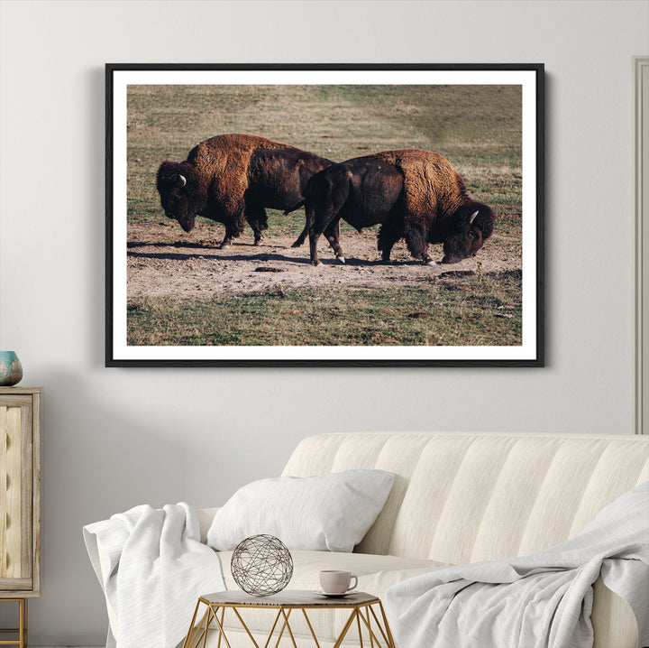 Bison Photography Wall Art Canvas Print, Framed Western Wildlife Art Picture Print, Modern Ranch Perfect Western Rustic Decor Artwork