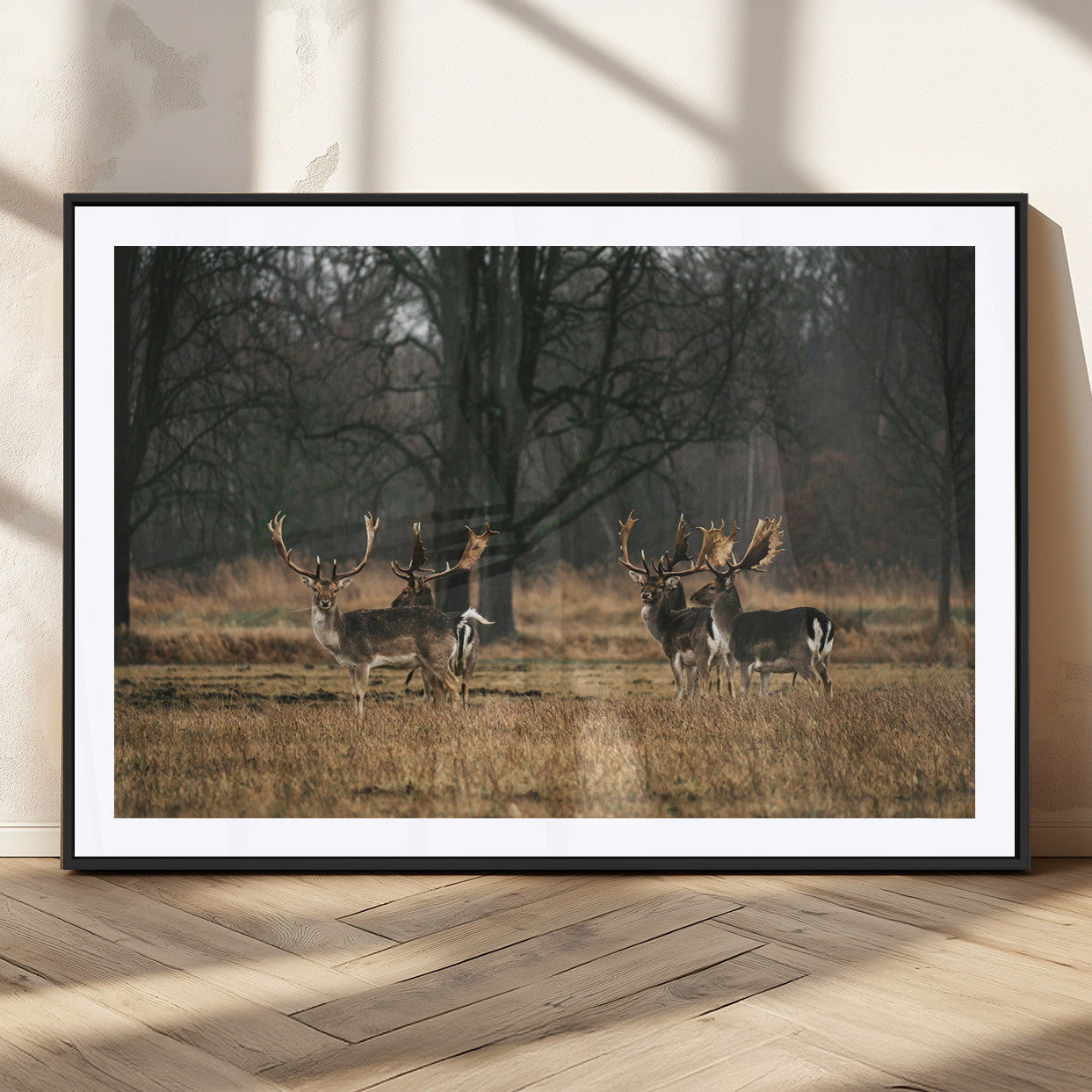 A group of majestic deer standing in a golden field with bare trees in the background, creating a peaceful woodland scene.