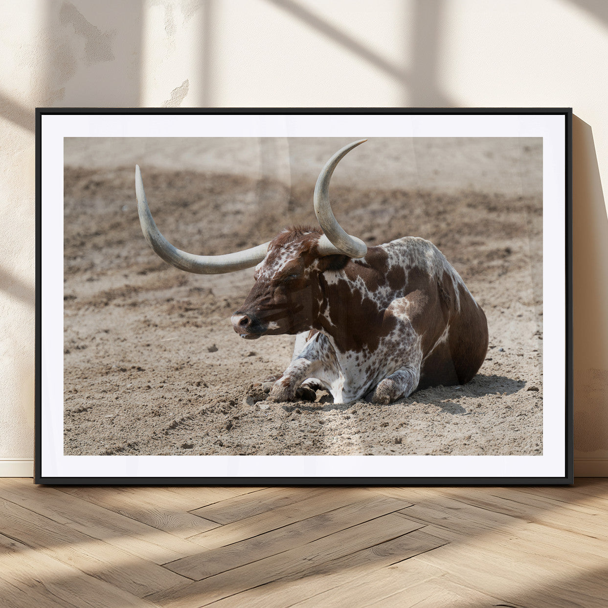 Texas Longhorn resting on sandy ground with large curved horns, capturing a rustic Western aesthetic perfect for farmhouse-style wall art.