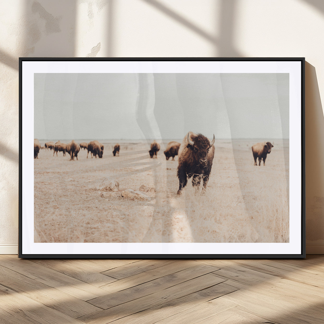 Herd of bison roaming a vast prairie with golden grass under a soft sky, creating a rustic and Western landscape, ideal for wall art.