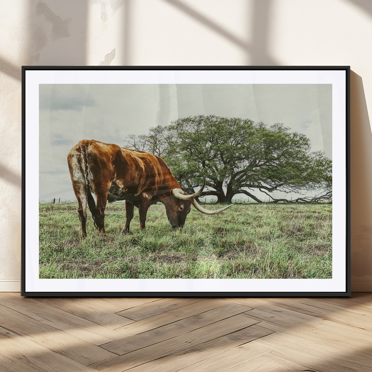 A Texas Longhorn grazing in a green pasture with a large tree in the background, evoking a rustic Western and farmhouse aesthetic.