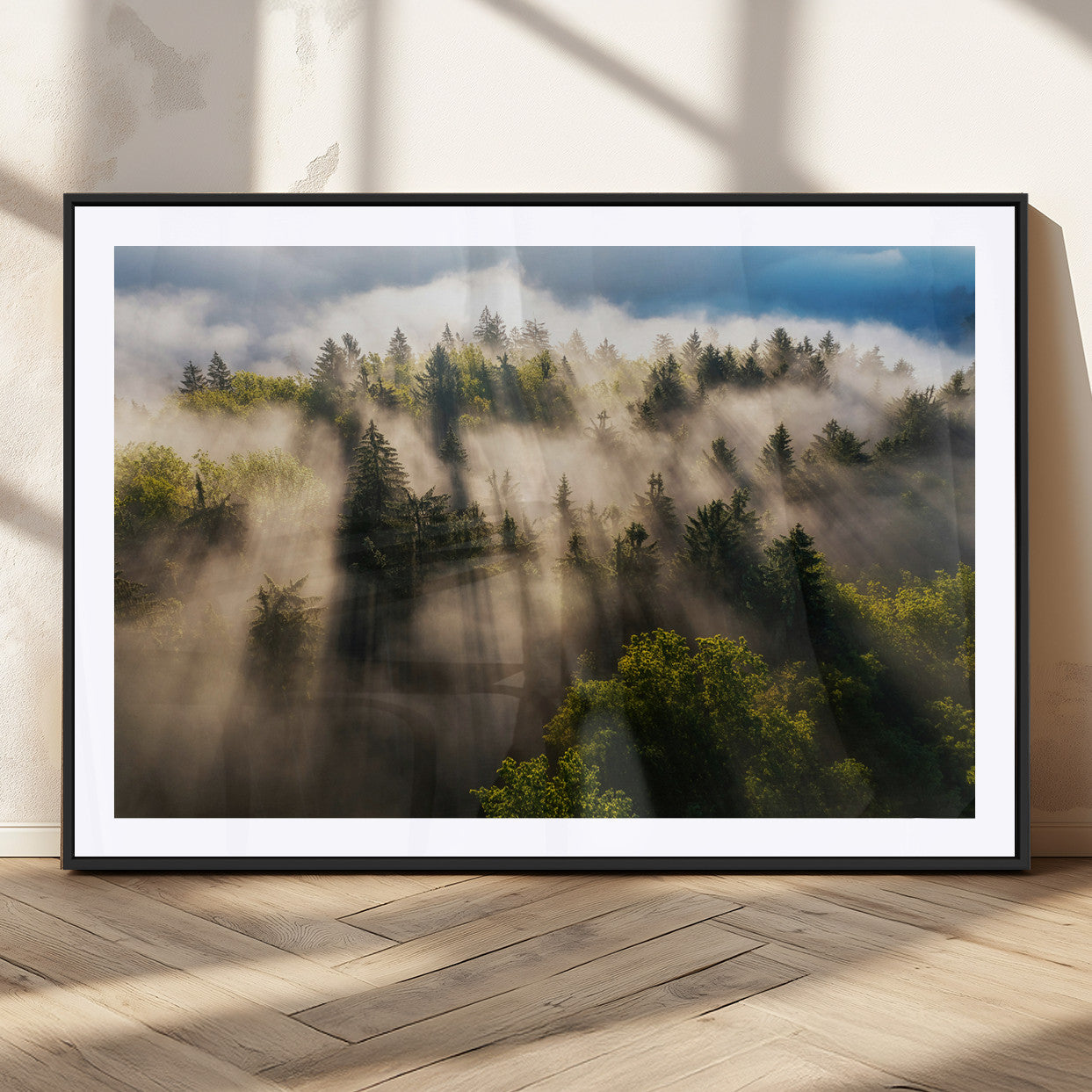 Sunlight streaming through misty pine trees in a lush green forest, creating a serene and atmospheric landscape, perfect for nature-inspired decor.