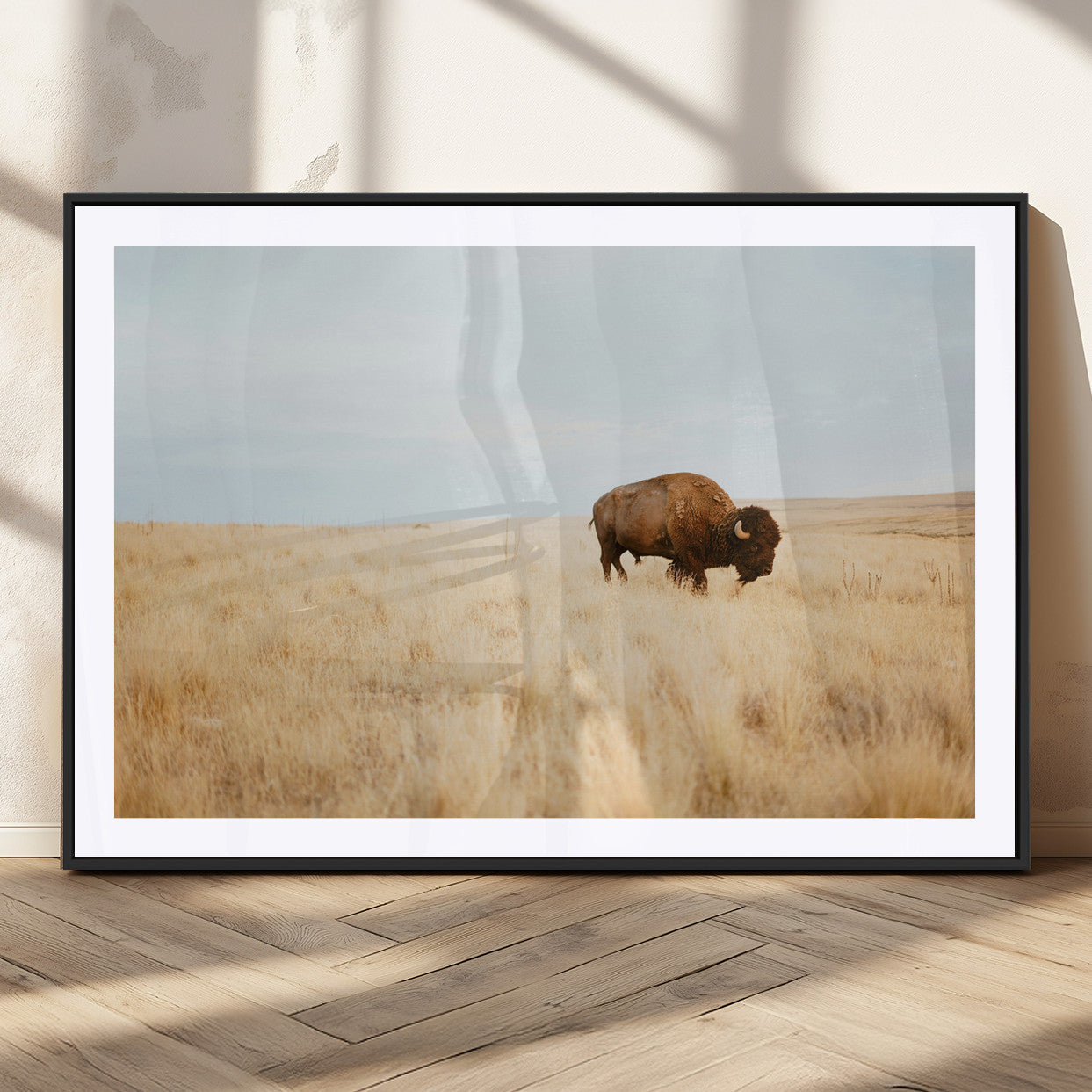 A lone bison standing in a vast golden grassland under a soft blue sky, evoking a rustic and Western aesthetic, ideal for farmhouse decor.