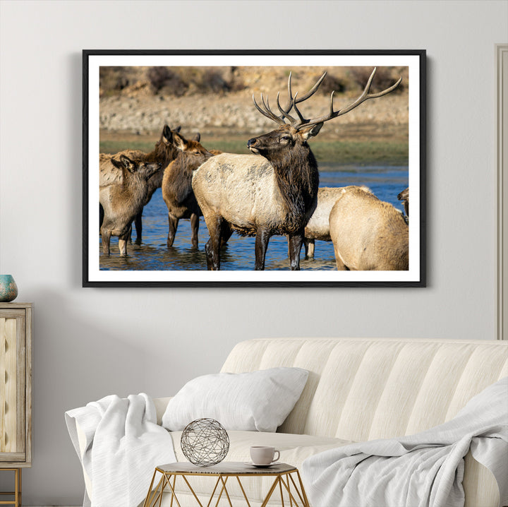 Wild Elk Photography Wall Art Canvas Print, Framed Neutral Wildlife Scene Art Picture Print, Rustic Animal Print Perfect Rustic Farmhouse