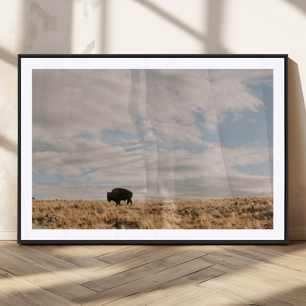 A solitary bison walking across a golden prairie under a vast, cloud-filled sky, evoking a peaceful, rustic western landscape for home decor.