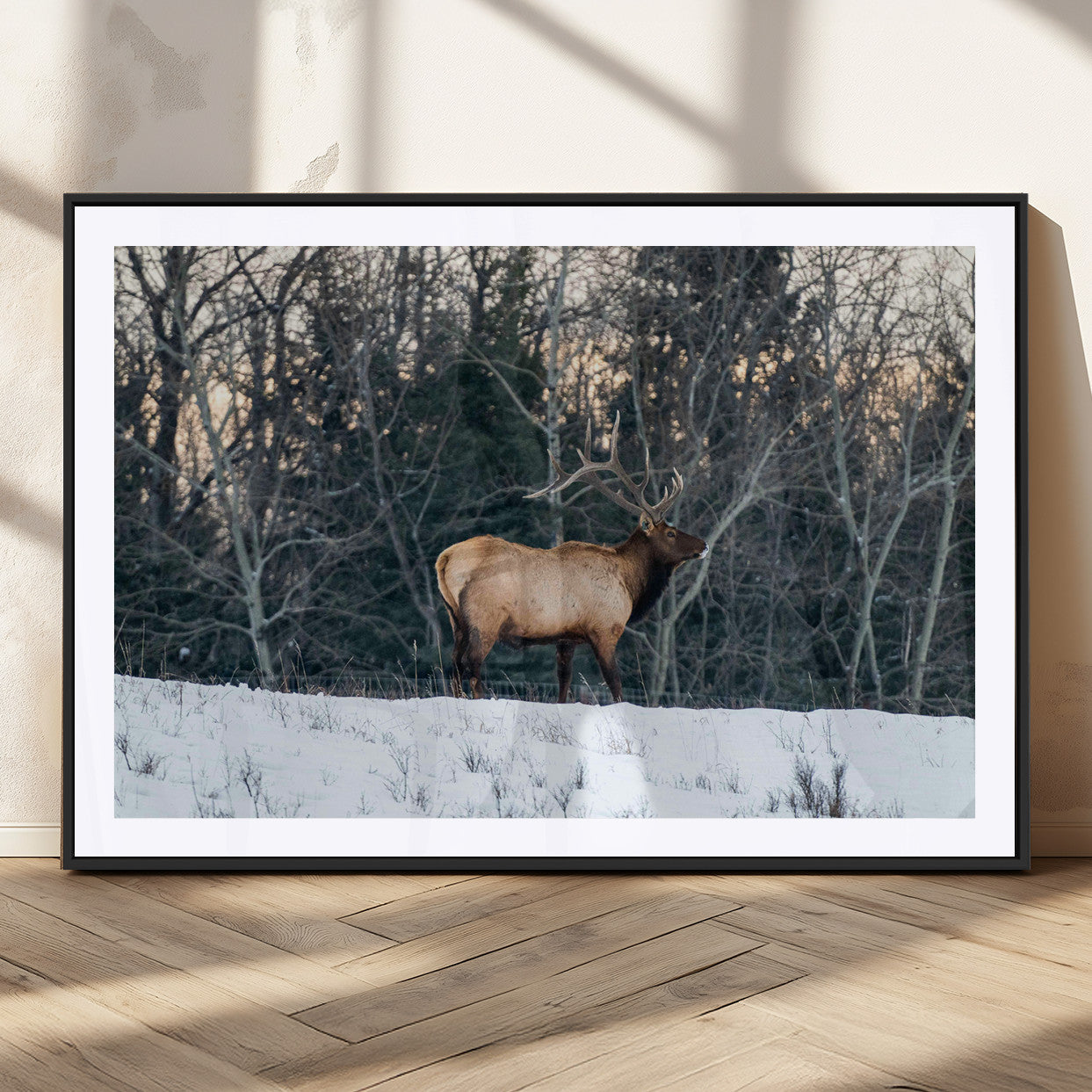 A majestic elk with large antlers standing in a snowy field against a winter forest backdrop, perfect for rustic and wildlife-themed home decor.
