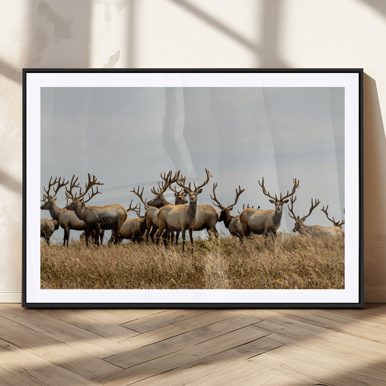 MGC-FP-36x24 - Elk Herd Wall Art Canvas Print, Framed Wildlife Photography Art Picture Print, Majestic Antlers Perfect Rustic Wildlife Decor Artwork