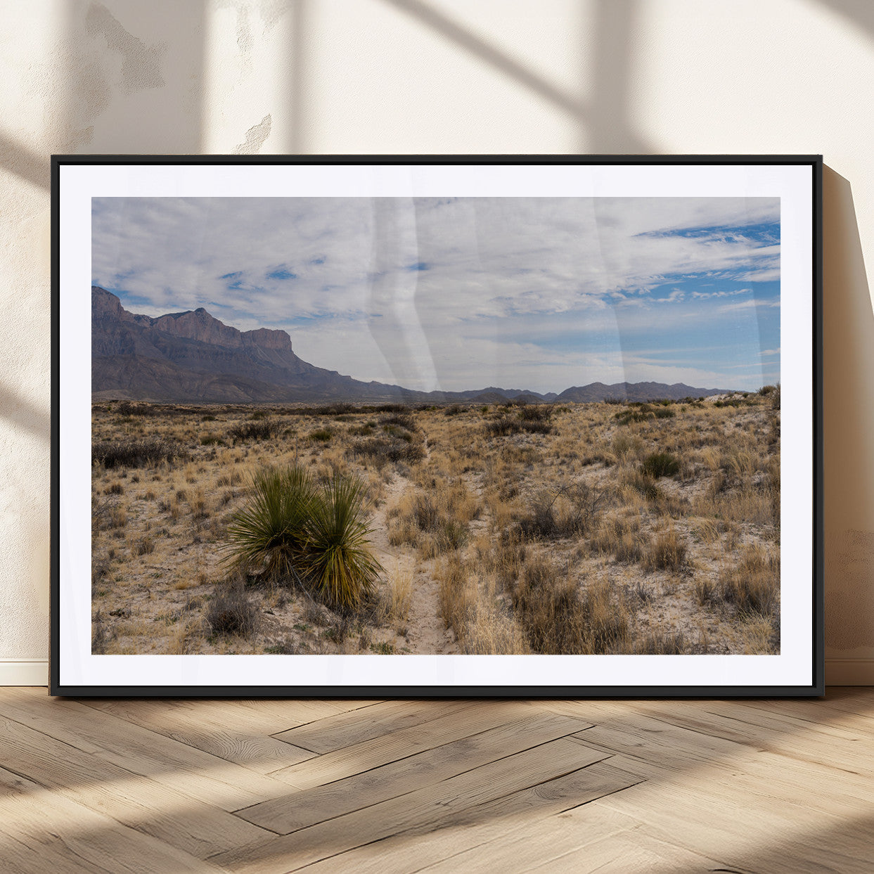 A scenic desert landscape with dry grasses, scattered shrubs, and a distant mountain range under a partly cloudy blue sky.