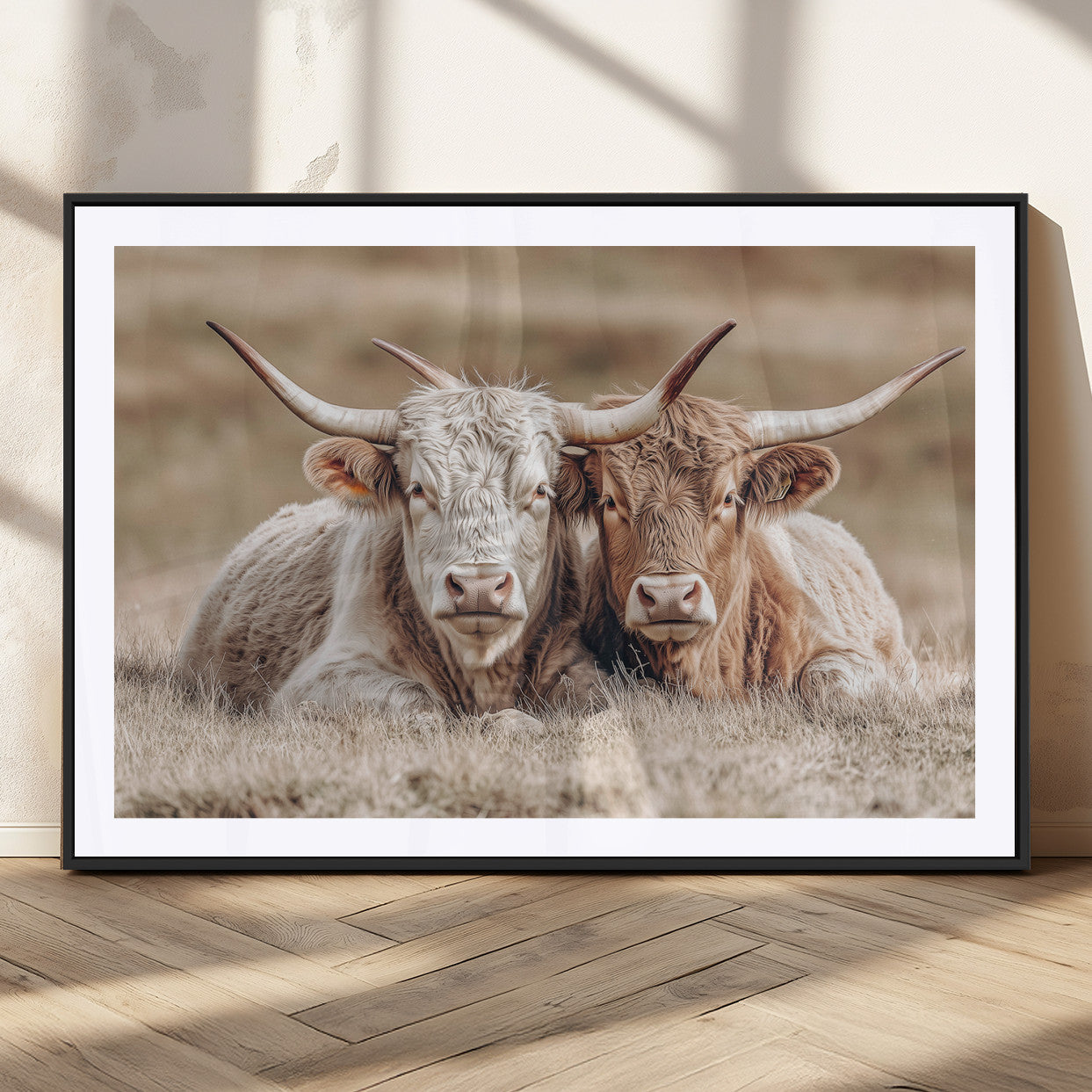 Two Highland cows with long horns lying side by side on a grassy field, featuring soft natural tones and a calm rural setting.