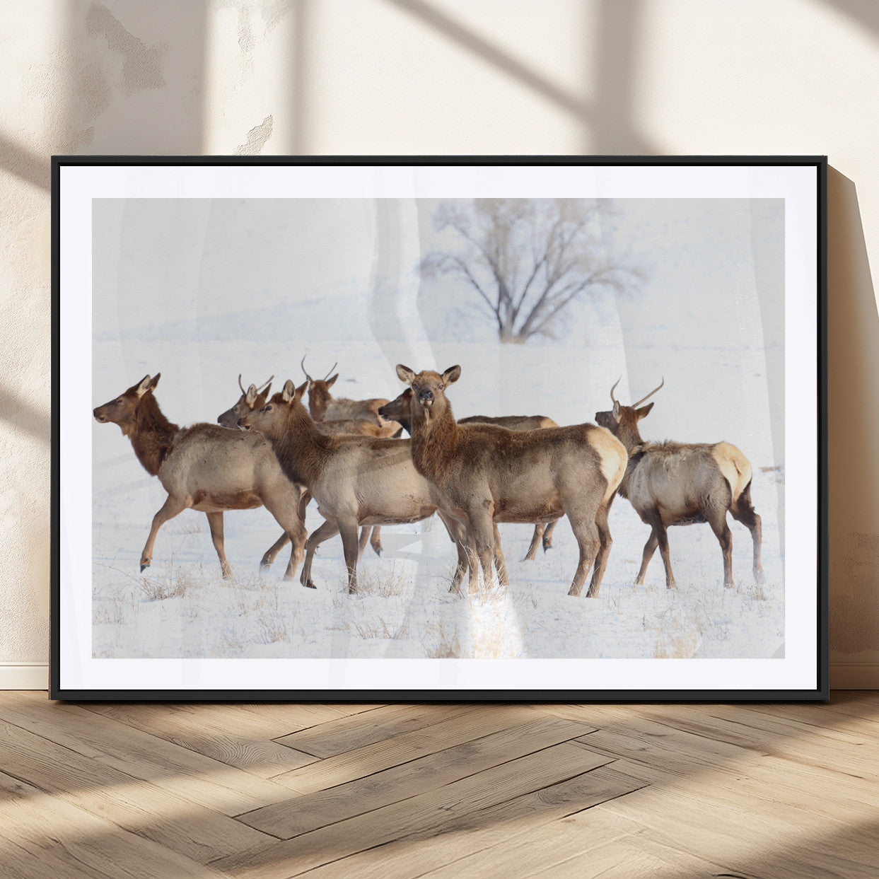 A herd of elk standing on snow-covered ground with a bare tree in the background, showcasing natural wildlife in a winter landscape.