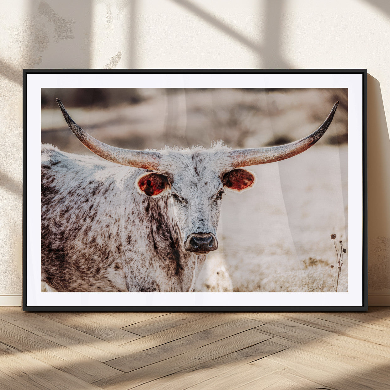 Close-up photograph of a white and brown speckled longhorn cow with very large, curved horns standing in a sunlit field with dry grass and blurred background.