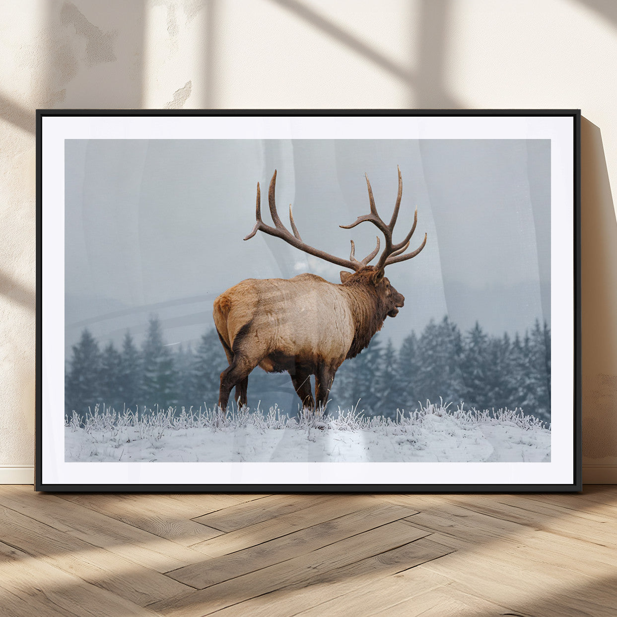 A majestic elk standing in a snowy landscape, with large antlers, set against a backdrop of evergreen trees and a soft winter sky.