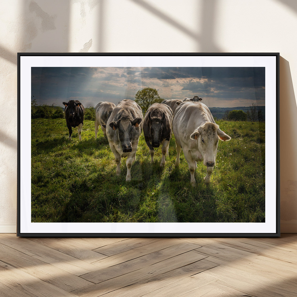 67277447-MGV-CV-36X24-Grazing Cattle Herd Pasture Green Field Livestock Natural Farm Animals Rural Life Outdoor Wall Art Canvas Print