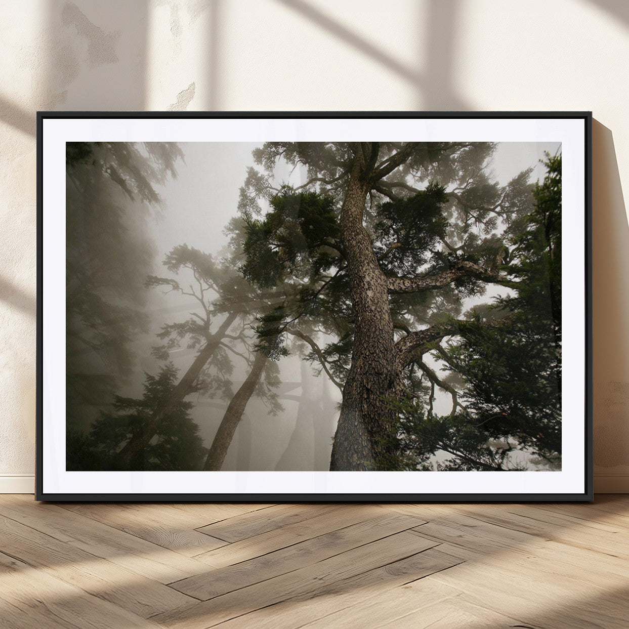 87969493-MGV-CV-36X24-Misty Forest Tall Trees Foggy Atmosphere Nature Serenity Calm Wooded Landscape Tranquil Scene Outdoor Beauty Wall Art Canvas Print
