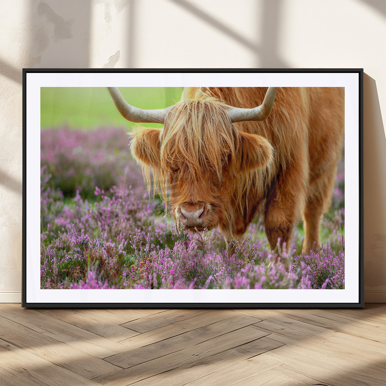 64069351-MGV-CV-36X24-Highland Cow Purple Flowers Nature Pasture Scenic Wildlife Animal Grazing Meadow Calm Rustic Charm Outdoors Peace Wall Art Canvas Print