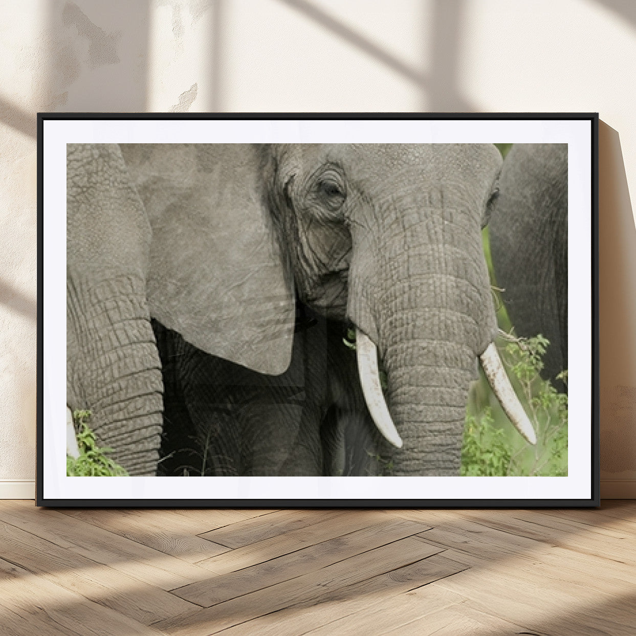 MGC-FP-36x24 - Wild Elephant Wall Art Canvas Print