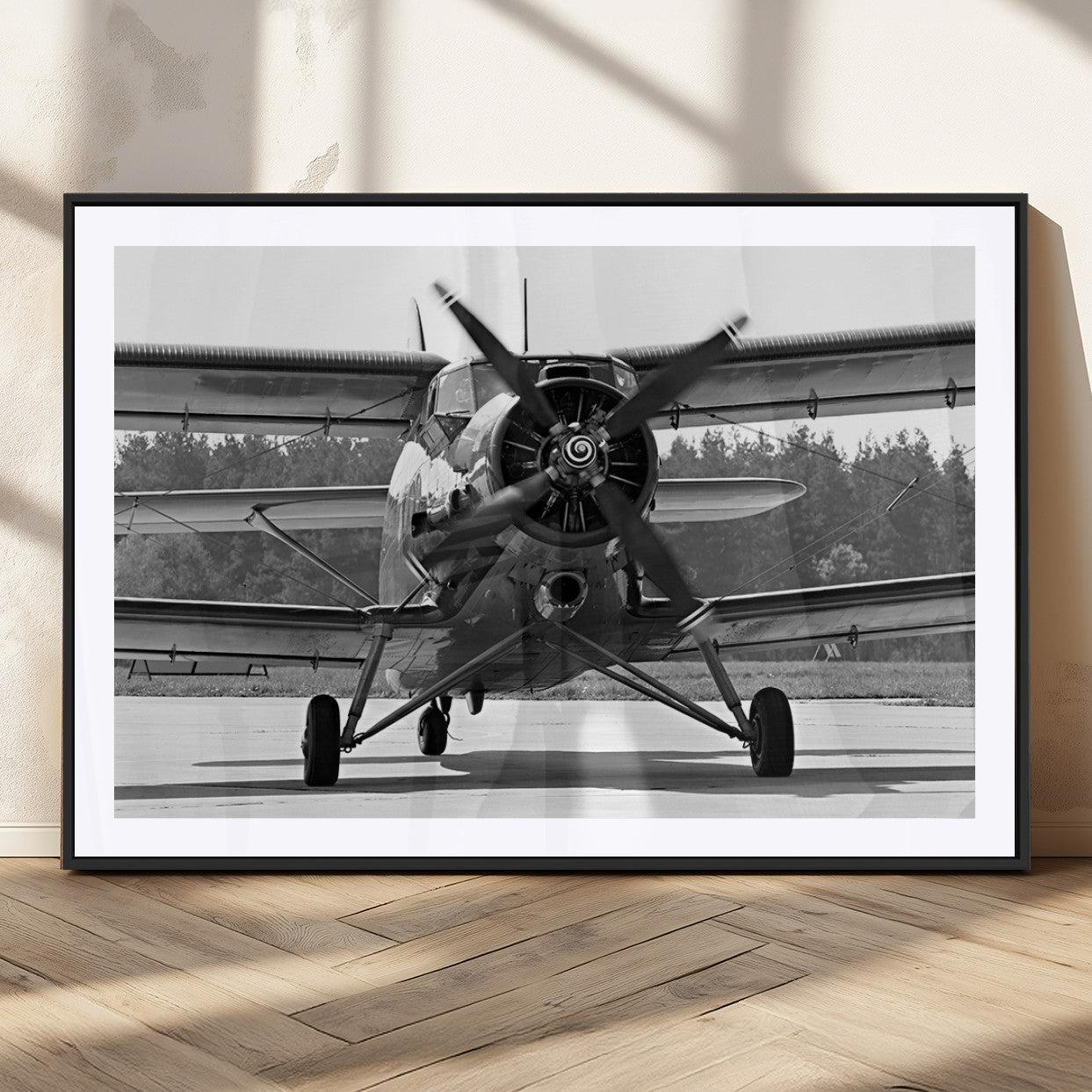 MGC-FP-36x24 - Wall Art Old War Plane Canvas Print