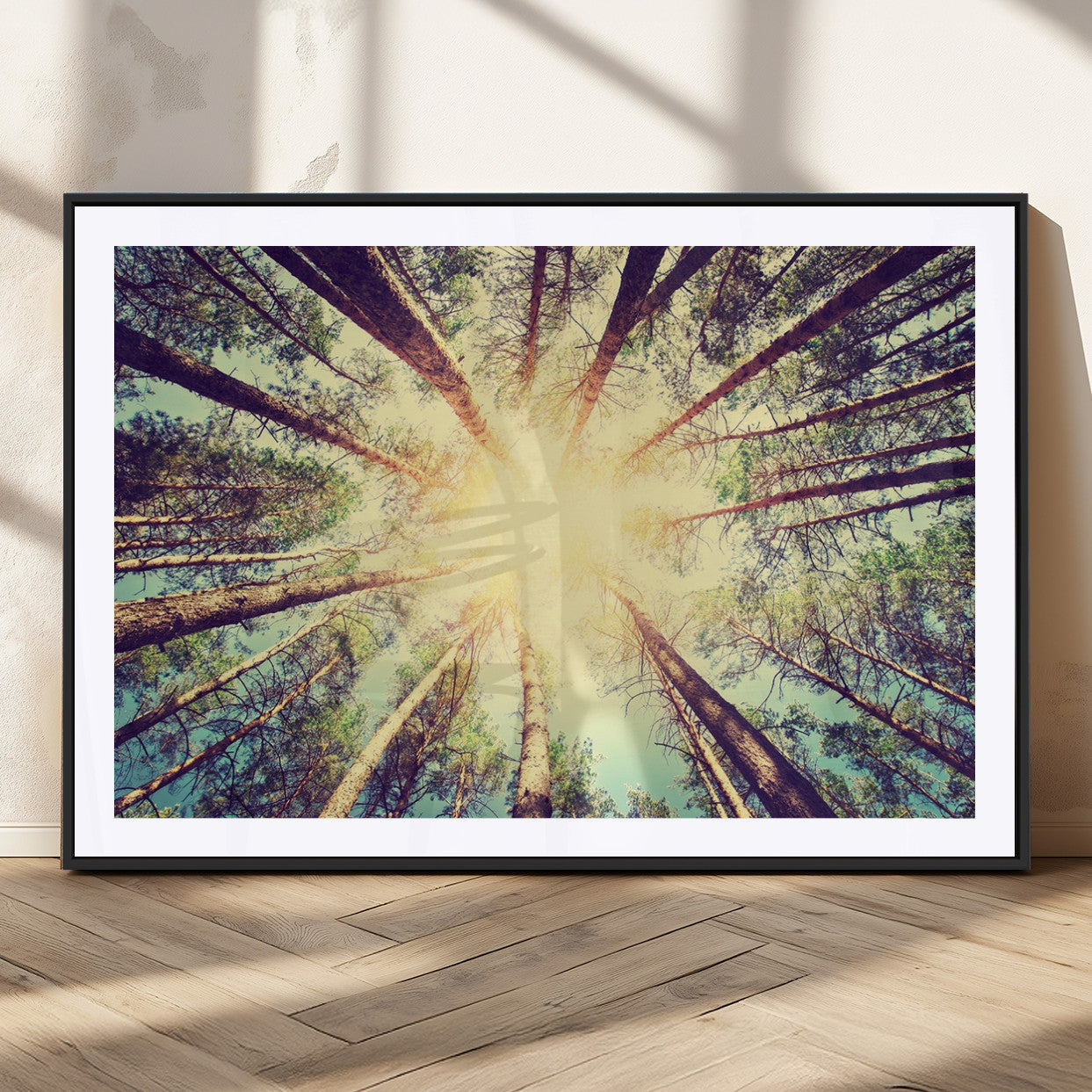 89611-MGC-FP-36x24_Black-Tree and Sunshine Canvas Print