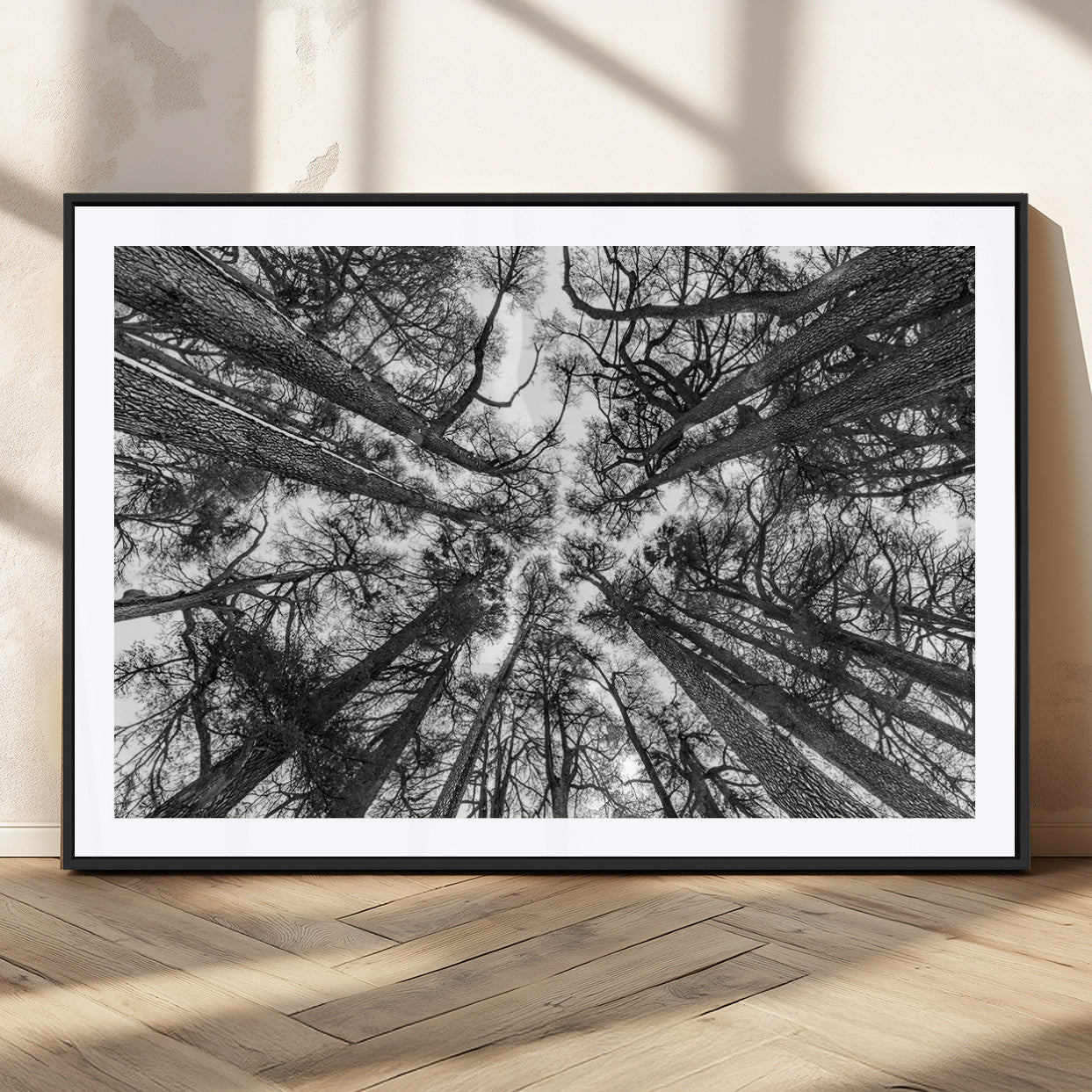 33934-MGC-FP-36x24_Black-Trees Contemporary Art Canvas Print