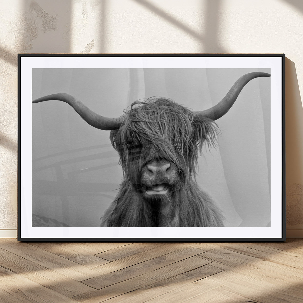 MGC-FP-36x24 - Texas Cow Wall Art Canvas, Texas Longhorn Cattle Canvas Print