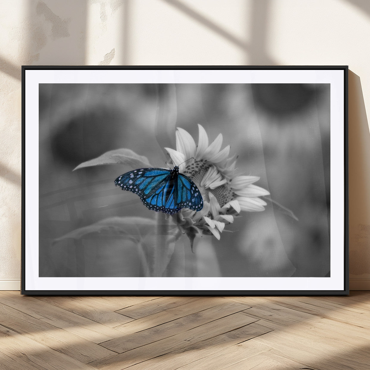 MGC-FP-36x24 - Blue Butterfly Black and White Canvas Wall Art