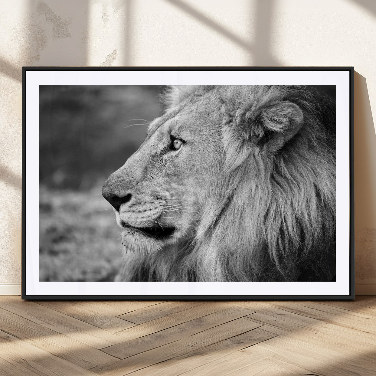 MGC-FP-36x24 - African Lion Wall Art Canvas Print