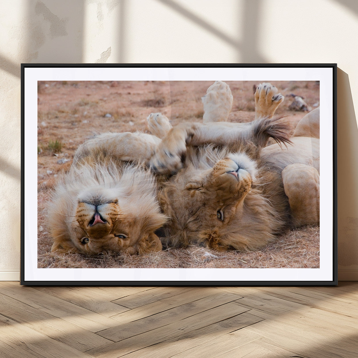 MGC-FP-36x24 - Animal Wall Art Lion Canvas Print