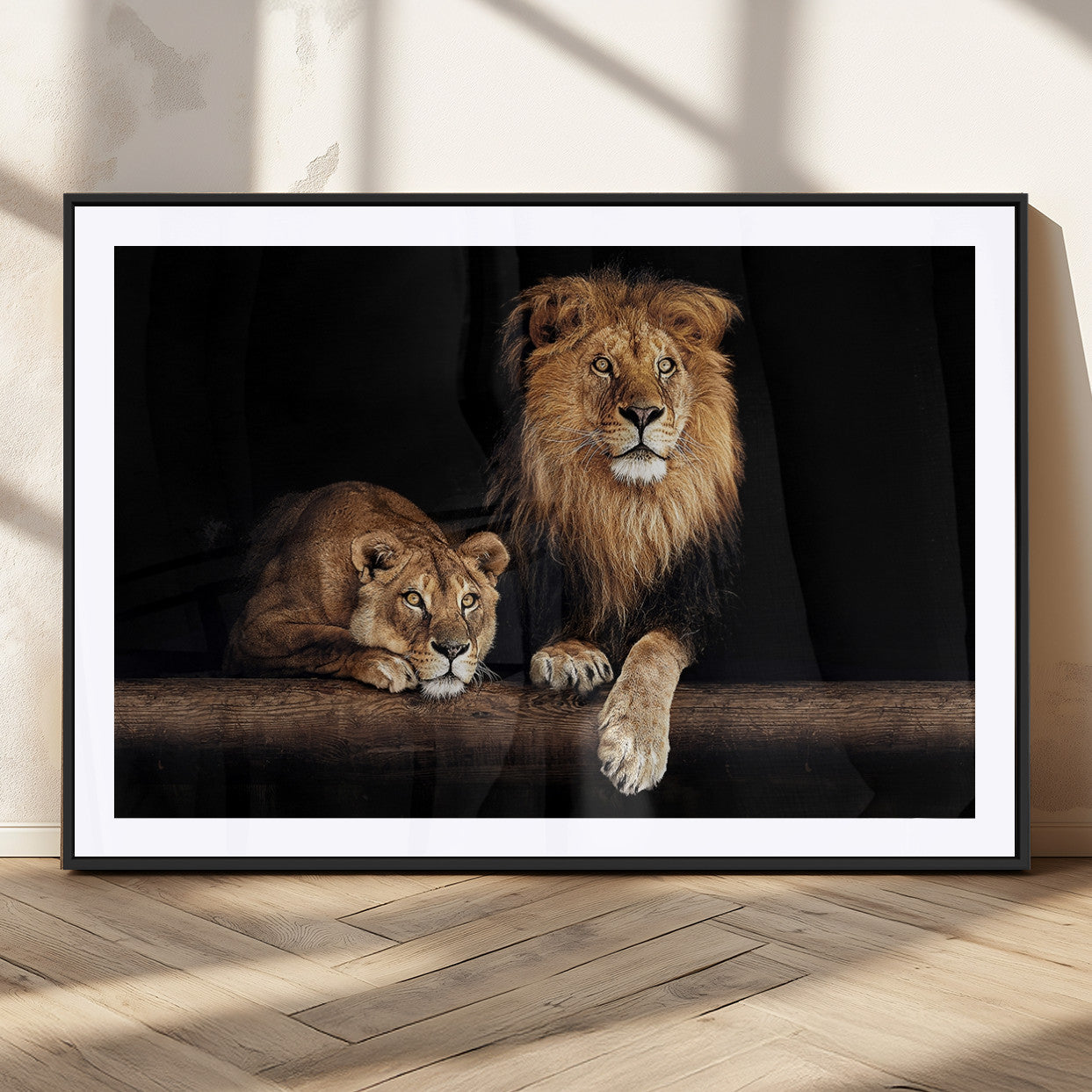 MGC-FP-36x24 - Lion Canvas Wall Art Animal Print